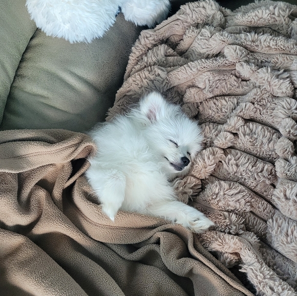 ReneeResellRack is LIVE@6 pm central💥$5 Unlisted NWT & preloved Women XS-3X - Picture 16 of 16